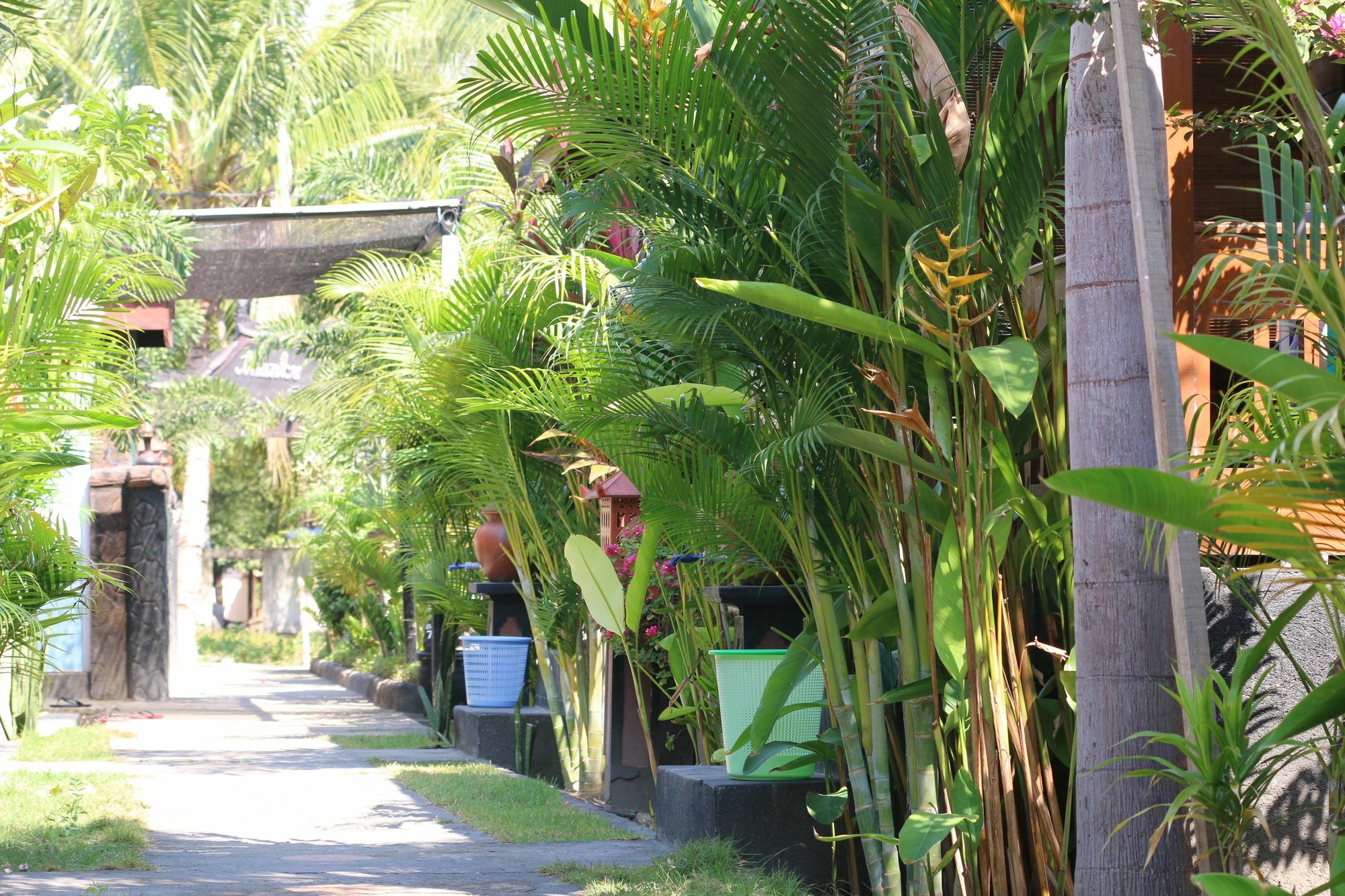 Color Cottage Gili Air Exterior foto